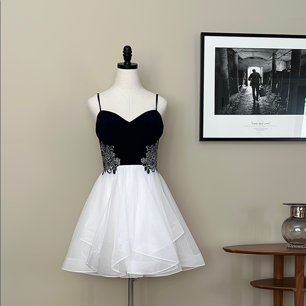 Elegant Black and White Dress with Lace Detail